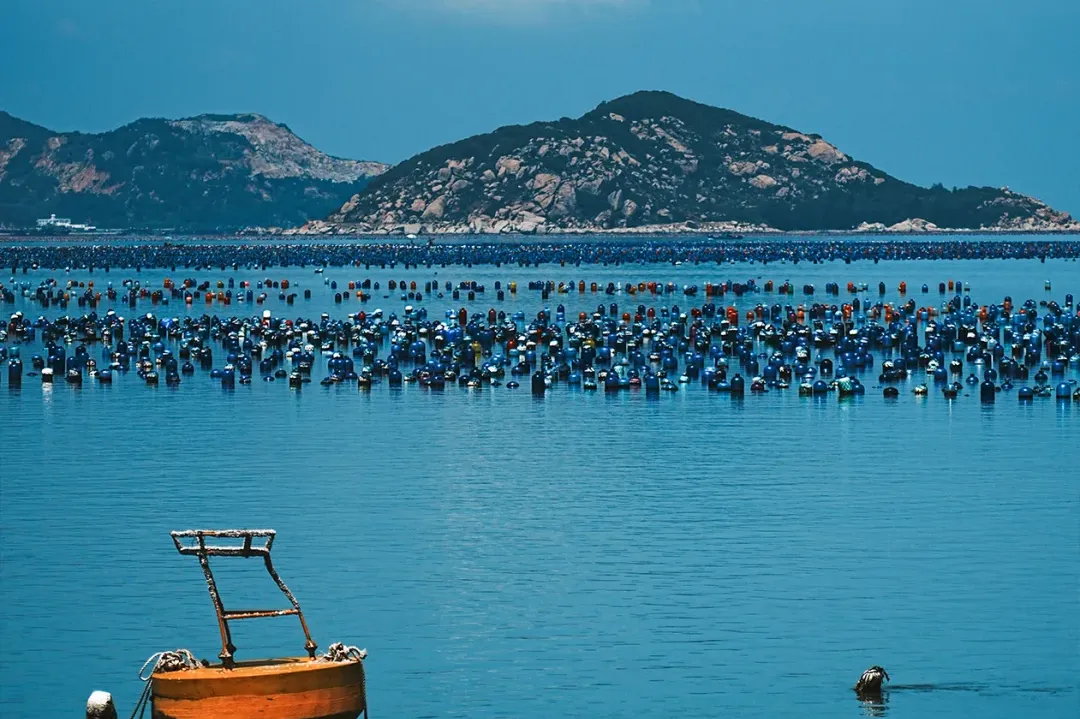 d03c1cf84b63230d9041cc54bc997e80-sz_2182009 d03c1cf84b63230d9041cc54bc997e80-sz_2182009