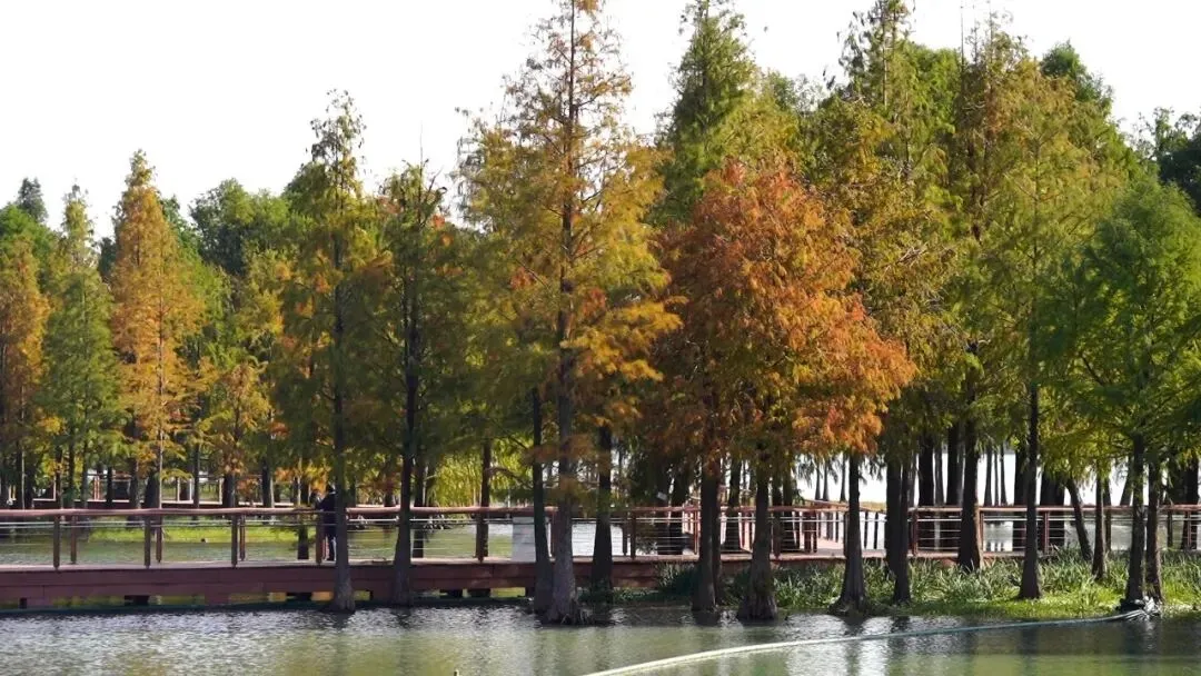 d04b246a4f66cc5c061960543a24eef8-sz_159439 d04b246a4f66cc5c061960543a24eef8-sz_159439