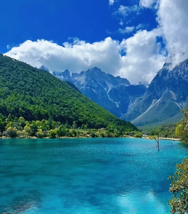 d079939b059b73f6e478609b50bb5d52-sz_1129811 d079939b059b73f6e478609b50bb5d52-sz_1129811