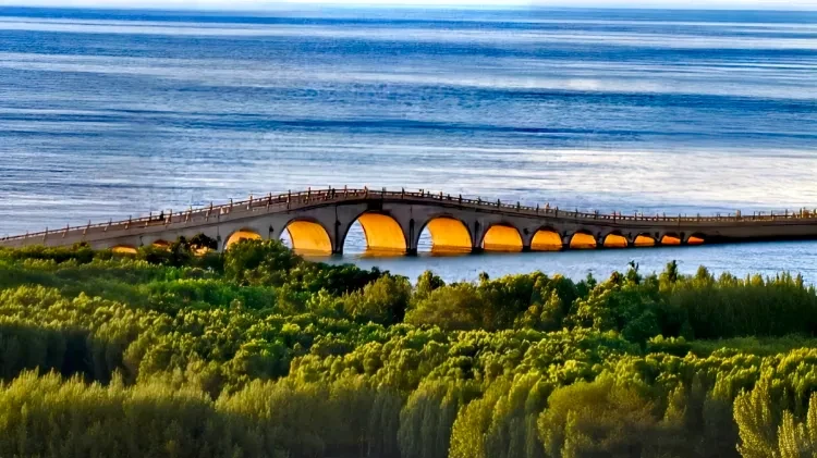 d0f73717ba9440aa2d307849f530f696-sz_4325337 d0f73717ba9440aa2d307849f530f696-sz_4325337