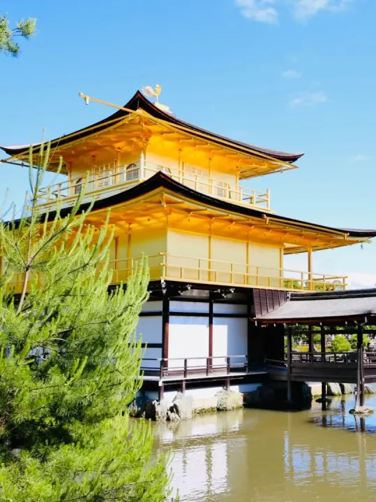 d10a140f7ecd6f7cccd03021dbebad3b-sz_509705 d10a140f7ecd6f7cccd03021dbebad3b-sz_509705