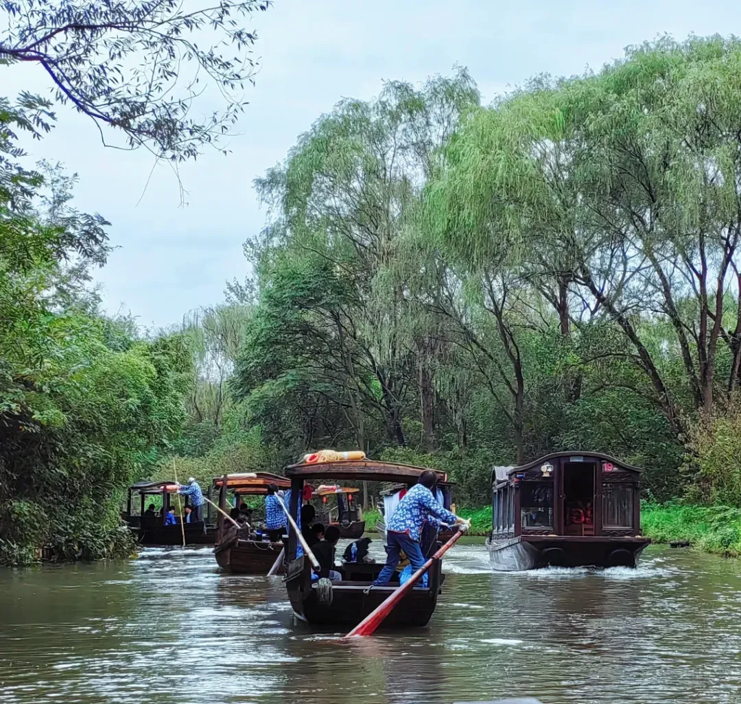 d13343356b8c1f67a21ce9d43d8453b4-sz_2056657