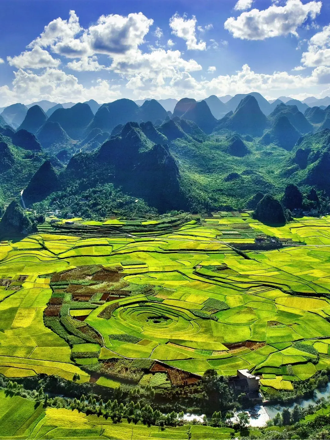 d24d73a4a252496c446205f4a25cc1ea-sz_3723883 d24d73a4a252496c446205f4a25cc1ea-sz_3723883