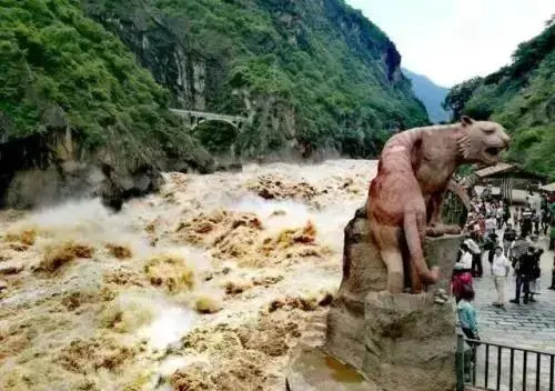 d262d56c0c335cd27949c5827ca0dc85-sz_42050 d262d56c0c335cd27949c5827ca0dc85-sz_42050