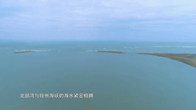 d299b8f9de8cb7d955f619e968d05232-sz_1162655-8 d299b8f9de8cb7d955f619e968d05232-sz_1162655-8