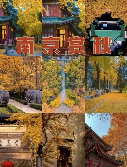 d32ac33a09e73ba3a6494323a73cf9cf-sz_993736 d32ac33a09e73ba3a6494323a73cf9cf-sz_993736