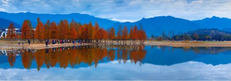 d33ea8d6f9e2d5a4477645624ca53e59-sz_585895 d33ea8d6f9e2d5a4477645624ca53e59-sz_585895