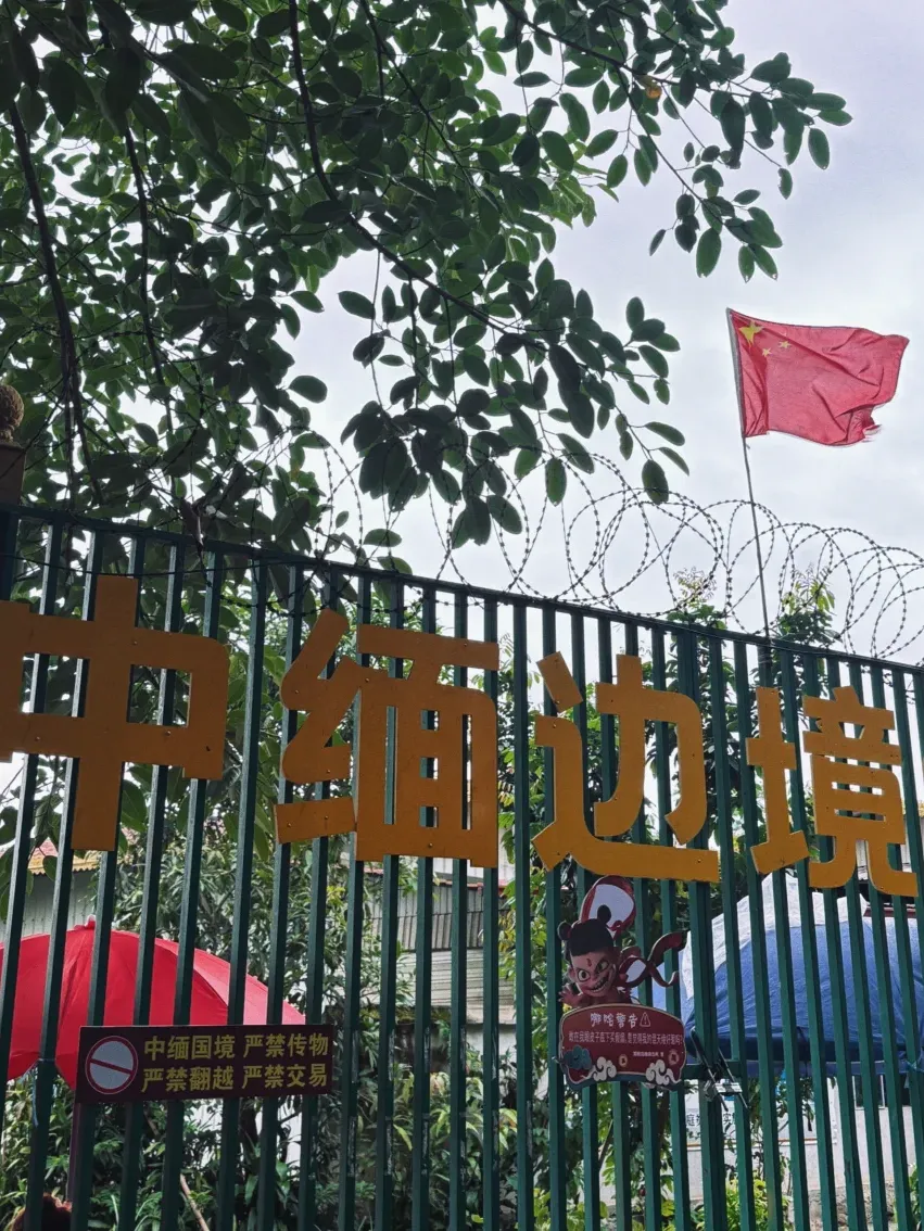 d39701f8db55c5e1910161865a5635eb-sz_2517252