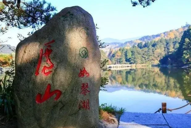 d3f5463cfff218d935e77de53f884e5e-sz_515018