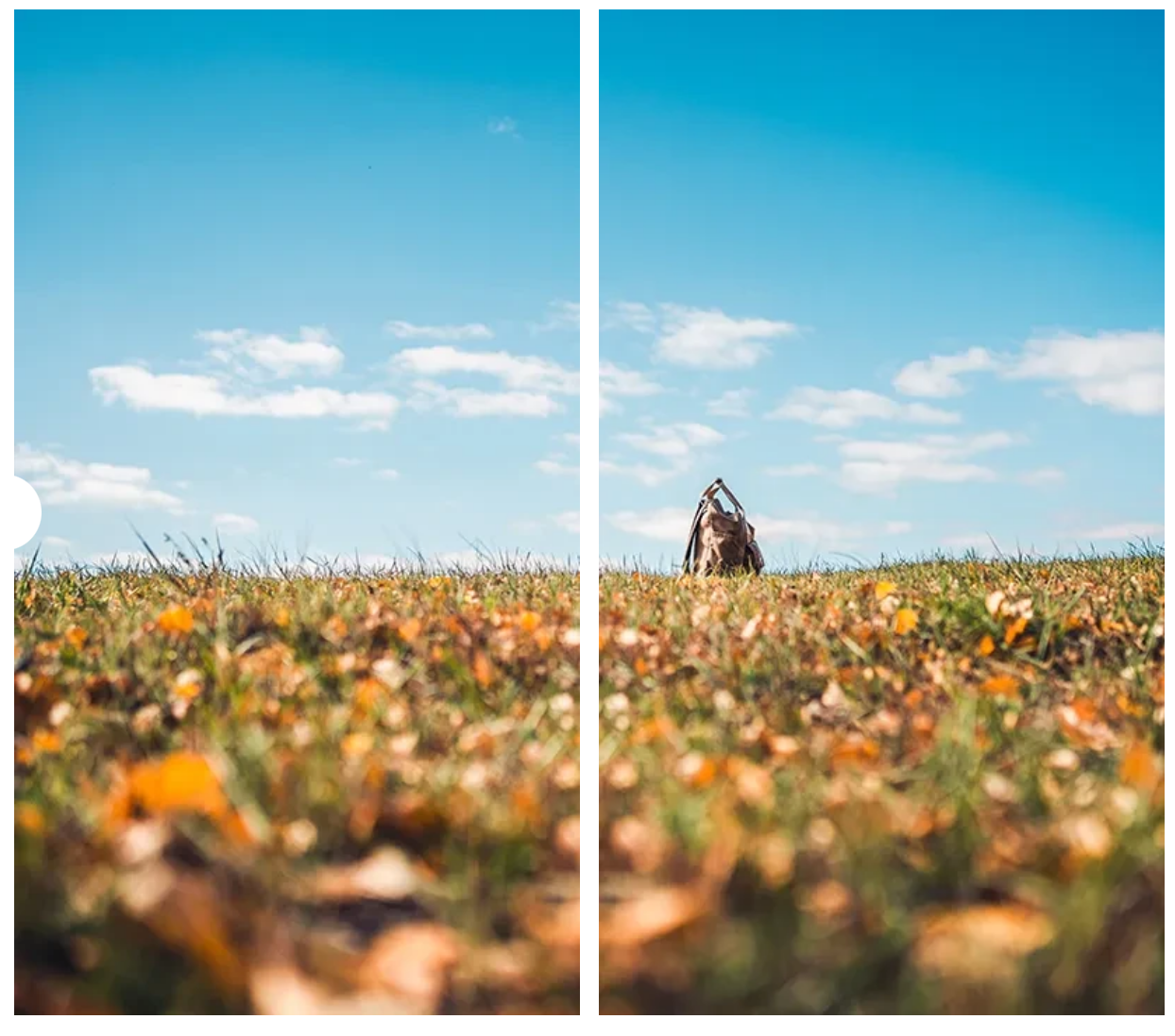 d41e7b06ece0add0b4efcc9da50b90da d41e7b06ece0add0b4efcc9da50b90da