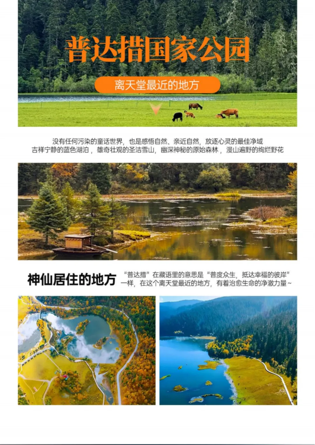 d44d9775b147a4889254321c161a3e33-sz_3910385