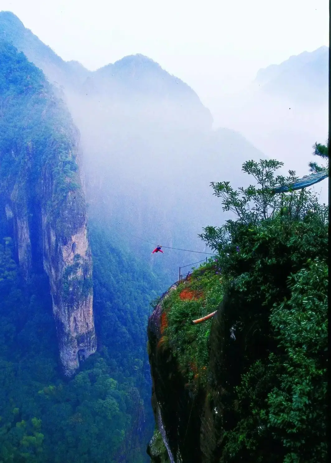 d47d9618b9dcdecab3f44c8b1545d220-sz_310329-1