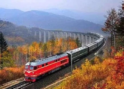 d4f75dd68ed8bd2a5cf92f6de1e6c2dd-sz_43608 d4f75dd68ed8bd2a5cf92f6de1e6c2dd-sz_43608