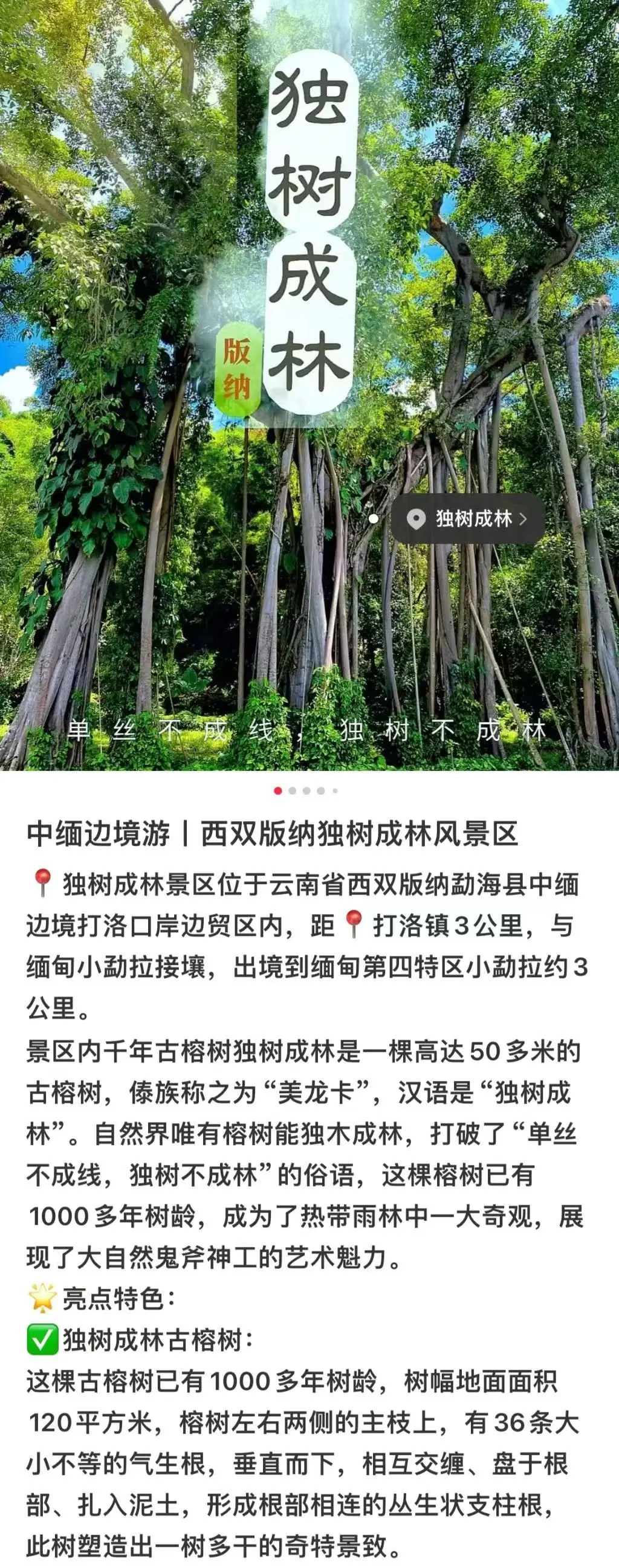 d50a828cf68aa6ceda4e12e9f128efb9-sz_558401