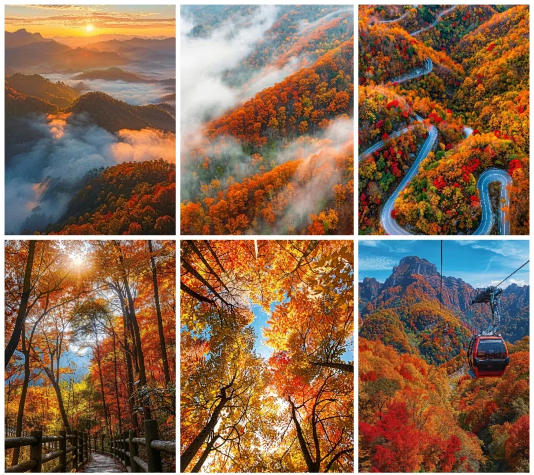 d50d10f8545a63559bb72f9156304e9d-sz_3199571-1