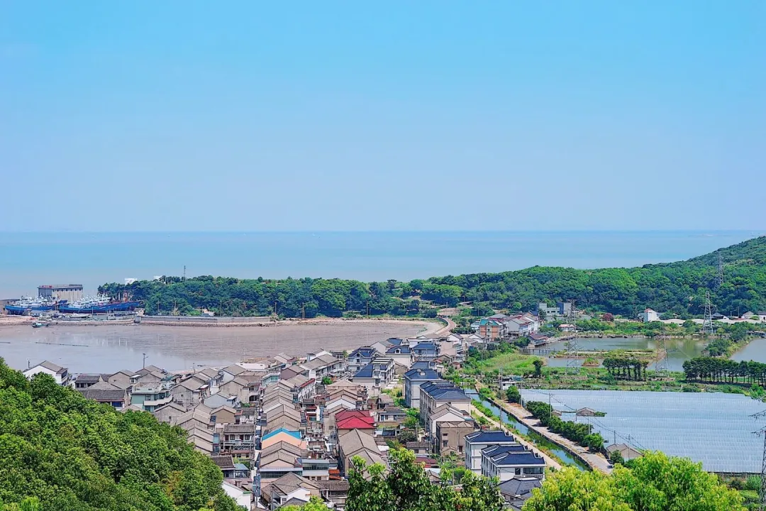 d532b1828938aff20cdd0b3d43540b26-sz_344056 d532b1828938aff20cdd0b3d43540b26-sz_344056