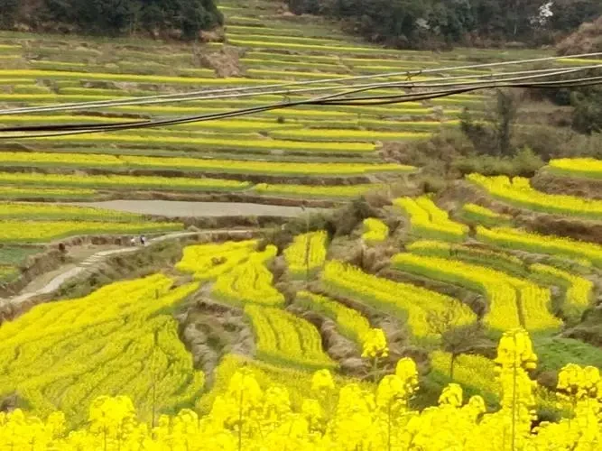 d55f9bd9a3d2b6cb583911cf072aa06f-sz_68542 d55f9bd9a3d2b6cb583911cf072aa06f-sz_68542