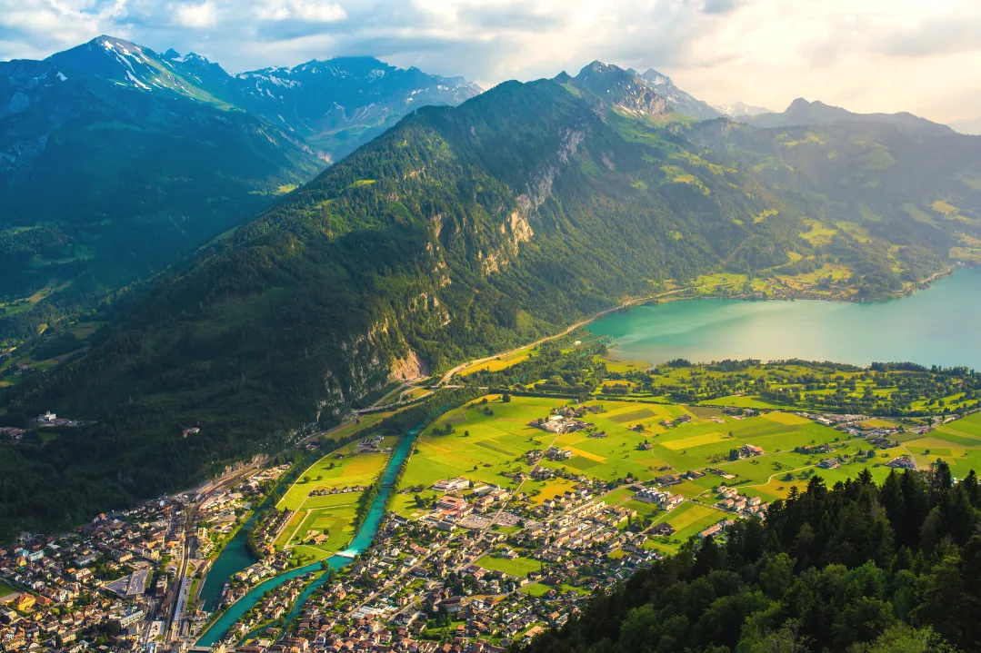 d561ce47c65587a5953759d5e8d74daa-sz_4245495