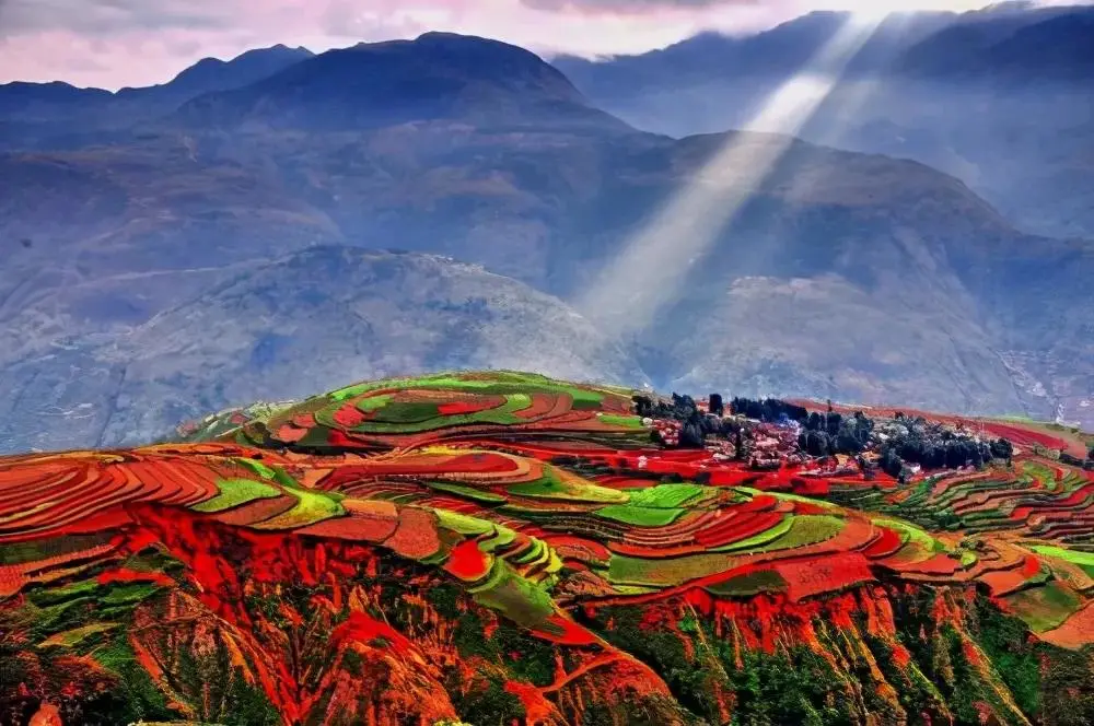 d569071e3d03ee666f60e7440705ef39-sz_119137