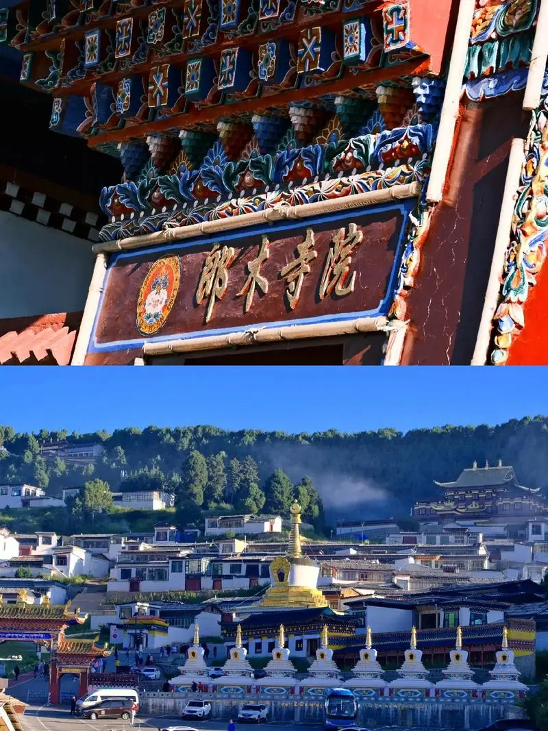 d59fecdbd2d9dba5b6effb9b3496566c-sz_192109