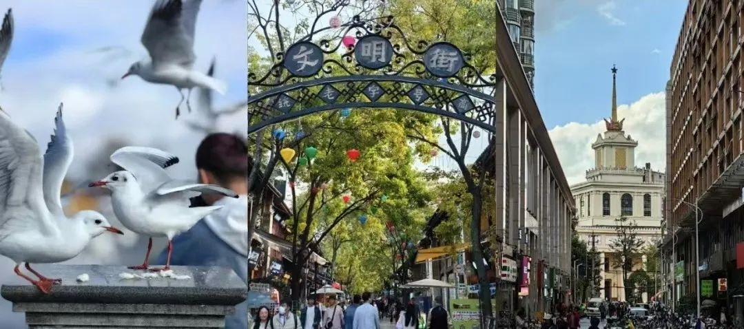 d5d85233c4c52a569ed12e6d0c0a9ec0-sz_183173