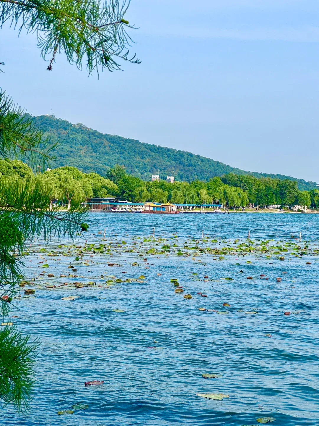 d610f2a4bcd5b30801562f84cde279c2-sz_2577995 d610f2a4bcd5b30801562f84cde279c2-sz_2577995