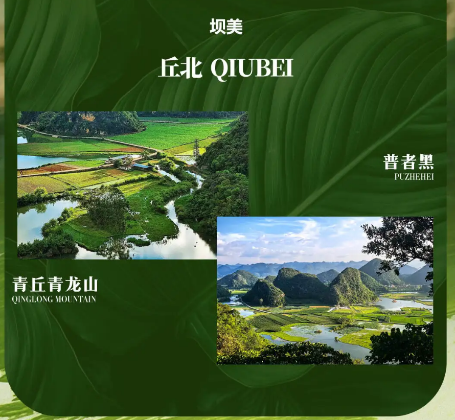 d65bf8ff34bbc691236cc5c079747f31 d65bf8ff34bbc691236cc5c079747f31