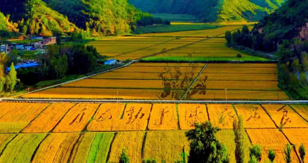 d6d7e62058fb74ac9be19734315df82f-sz_188261-1