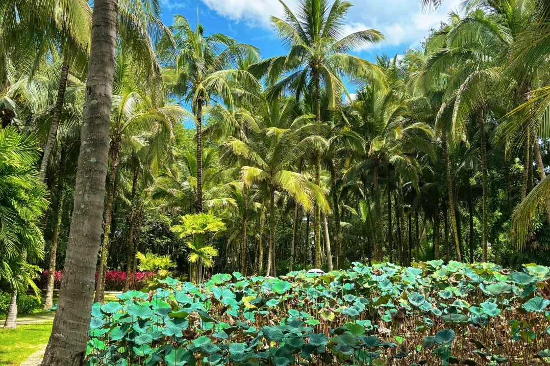 d74b1d0ae9e5380feba1ced5b17c6f56-sz_3534873