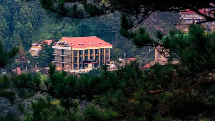 d784c3f5a9e56a0540ac9f0c24a3e675-sz_159876