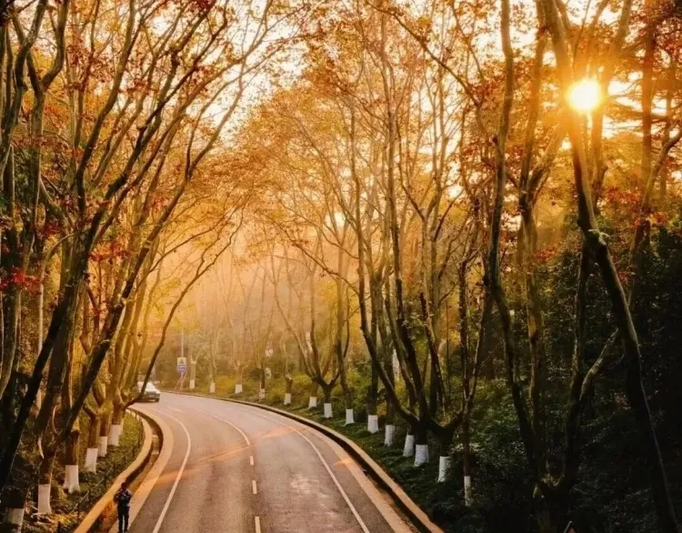 d78a847b9551070ce3cc8f13b27c4d46-sz_237998 d78a847b9551070ce3cc8f13b27c4d46-sz_237998