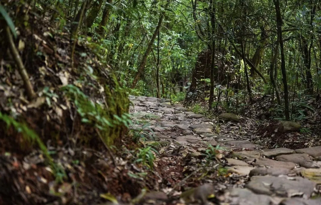 d7ac9901ba0eae28f458d0e30ecb6cc1-sz_301508 d7ac9901ba0eae28f458d0e30ecb6cc1-sz_301508