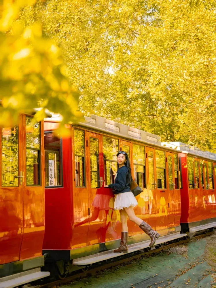 d804d2046b88d000f56ae0060c4f3a92-sz_3847950 d804d2046b88d000f56ae0060c4f3a92-sz_3847950