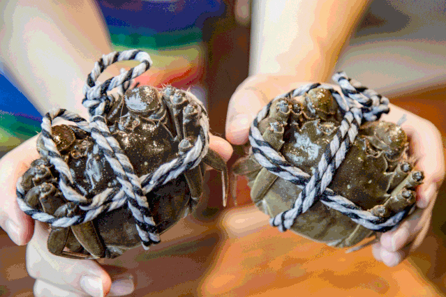 d818bb11826a185aa3283e0f7e53544f-sz_268157