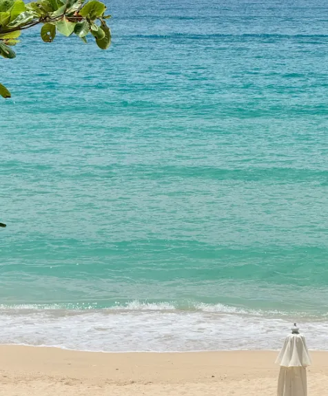 d82e6f582a3416e79468ddd3f46ae642-sz_626025 d82e6f582a3416e79468ddd3f46ae642-sz_626025