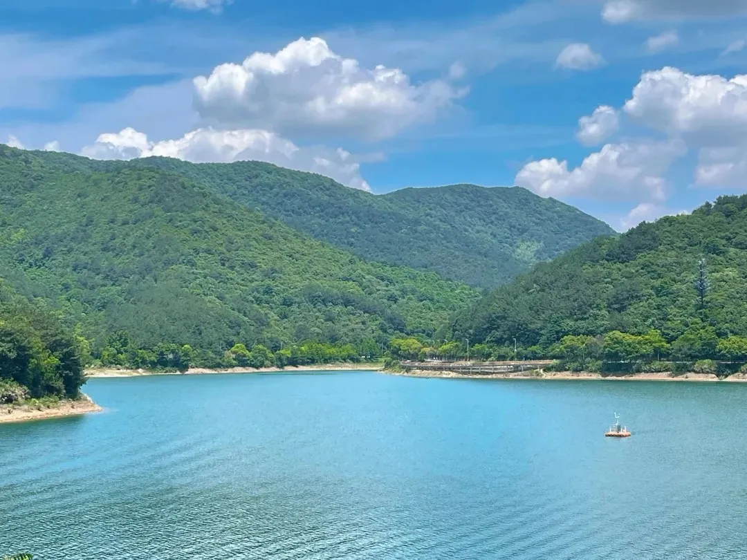 d85e1fad436b329e7a189855a518ce4d-sz_412346