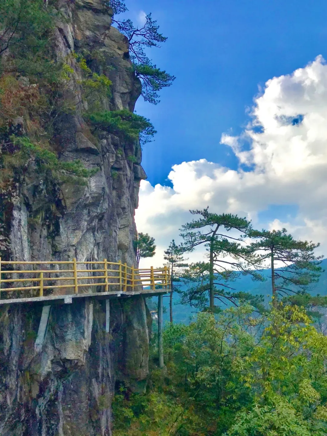 d867d85d1f337a364bad4548d93af5c0-sz_424379 d867d85d1f337a364bad4548d93af5c0-sz_424379