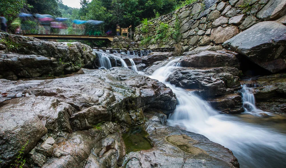 d8ccc1bc37ba141cb724cab2907fc0a8-sz_1821983