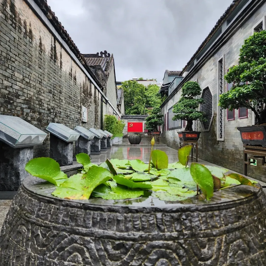 d8cef159457182adc521e7a81549e024-sz_502216-1 d8cef159457182adc521e7a81549e024-sz_502216-1