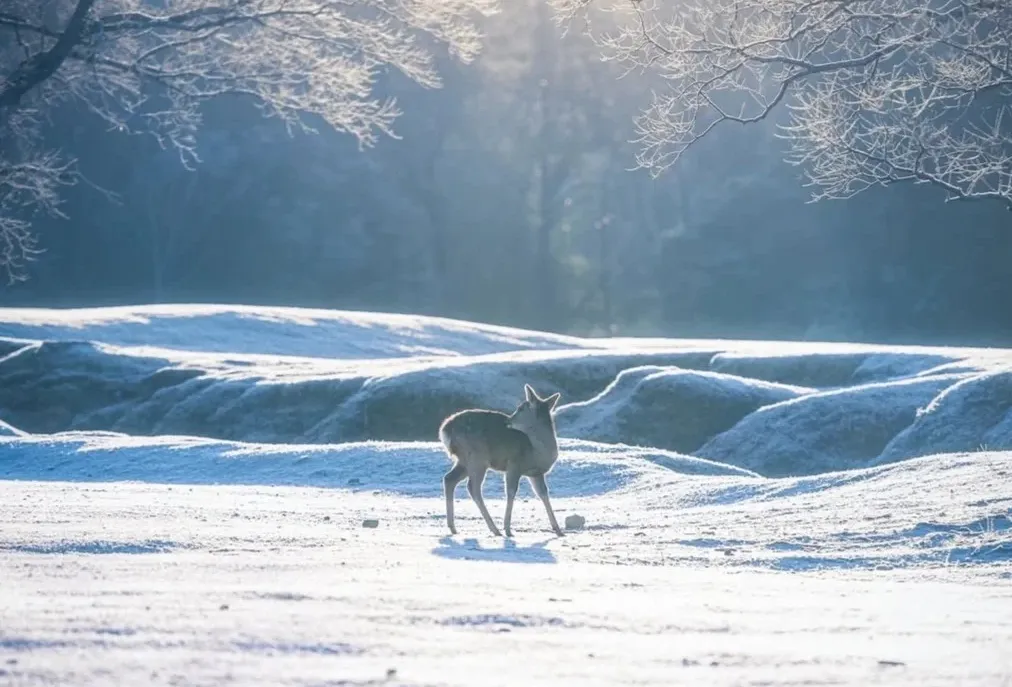 d8d5198802dd6b4102169bf509cc7540-sz_306814 d8d5198802dd6b4102169bf509cc7540-sz_306814