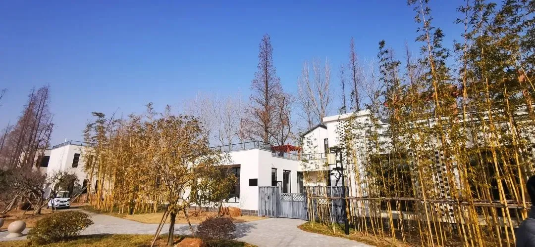 d8e542a3a0d6bca0181981ab134f1d81-sz_157876 d8e542a3a0d6bca0181981ab134f1d81-sz_157876