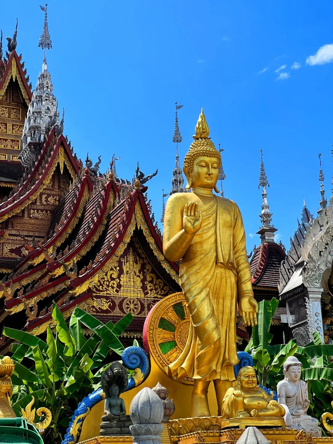 d9096518706b70f795852d5d5b254850-sz_2873535 d9096518706b70f795852d5d5b254850-sz_2873535