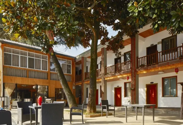 d9119ed1ee03a24a95660963529f321b-sz_1926039