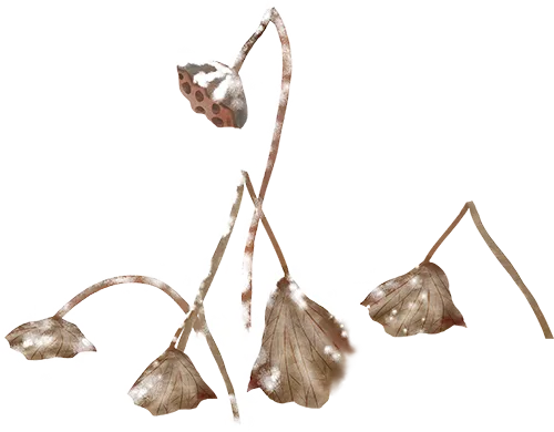 d9f43fced3b3d0eb034f9841799777ec_sz-138055-1 d9f43fced3b3d0eb034f9841799777ec_sz-138055-1