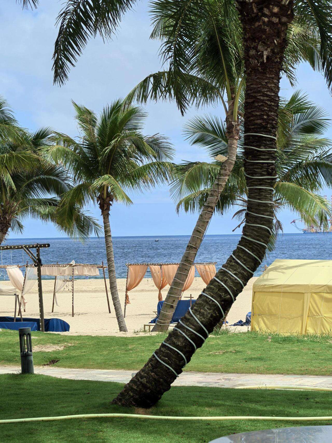 dBEodLreTGWZiuFD dBEodLreTGWZiuFD