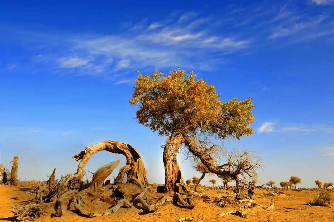 da3bff5fc84285c9c5eb4d8c2829fe2d-sz_2551700 da3bff5fc84285c9c5eb4d8c2829fe2d-sz_2551700