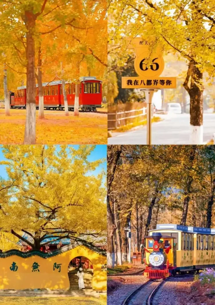 da8b1c78b94ad872117b6f787ffa1aa3-sz_4540841 da8b1c78b94ad872117b6f787ffa1aa3-sz_4540841