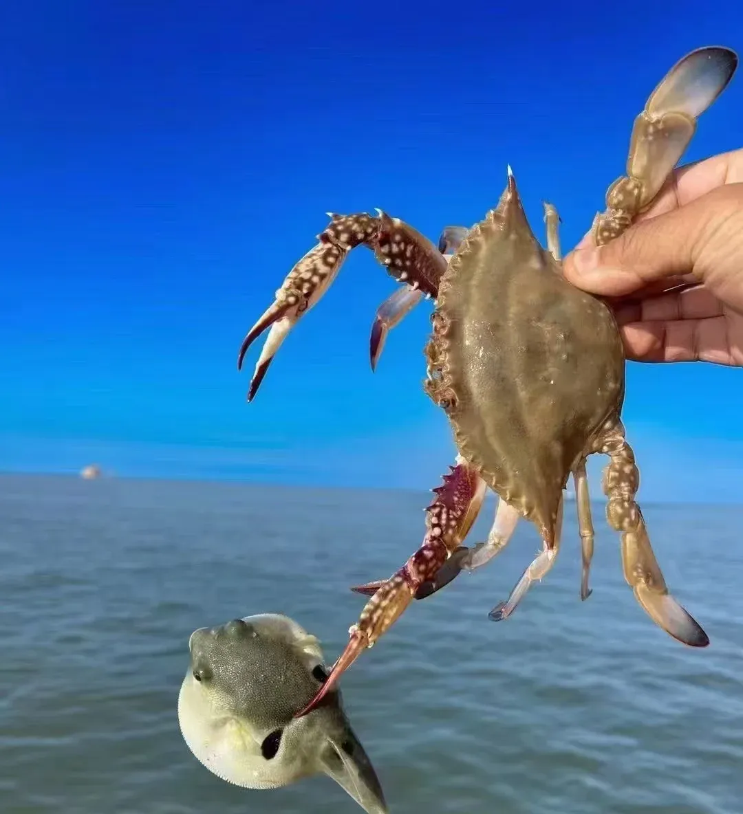 daa3720649db9f6f921d09807be62bd0-sz_1030970 daa3720649db9f6f921d09807be62bd0-sz_1030970