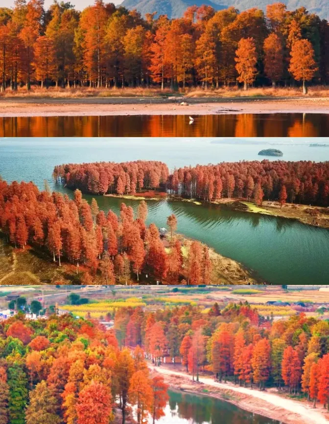 dabb9dd19b9ae72425ab2d07aa81a32d-sz_1215499