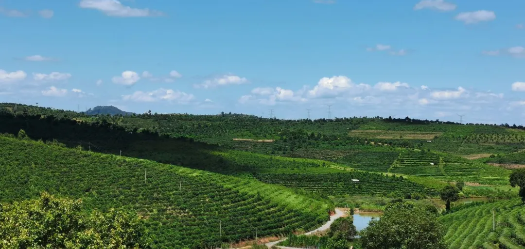 dad9256e8588aab82373b2ef56ae3dc8-sz_340576-1 dad9256e8588aab82373b2ef56ae3dc8-sz_340576-1